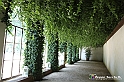 VBS_1502 - Castello di Miradolo - Mostra Oltre il giardino l'Abbecedario di paolo Pejrone